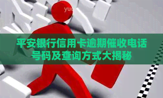 平安银行信用卡逾期电话号码及查询方式大揭秘