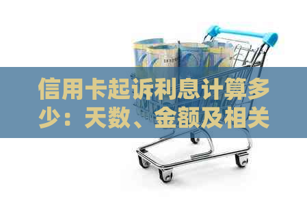 信用卡起诉利息计算多少：天数、金额及相关规定
