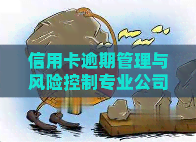 信用卡逾期管理与风险控制专业公司招聘