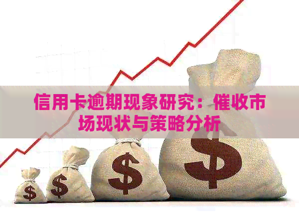 信用卡逾期现象研究：市场现状与策略分析