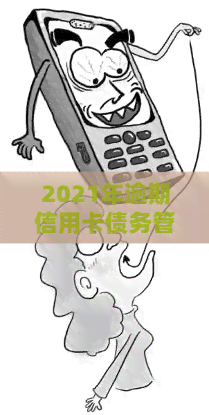 2021年逾期信用卡债务管理策略与行业前景分析