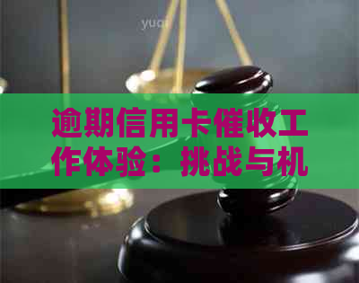 逾期信用卡工作体验：挑战与机遇并存