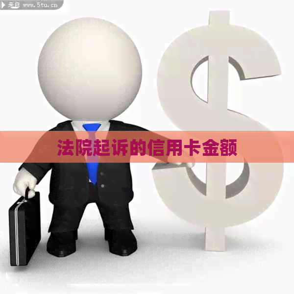 法院起诉的信用卡金额