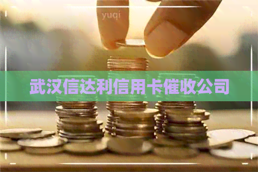 武汉信达利信用卡公司