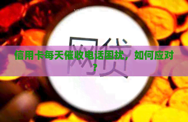 信用卡每天电话困扰，如何应对？