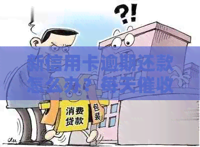 新信用卡逾期还款怎么办？每天电话不断！