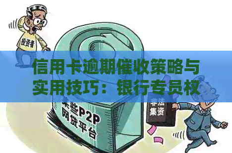 信用卡逾期策略与实用技巧：银行专员权威解读与信用建设资讯