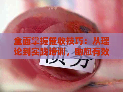全面掌握技巧：从理论到实践培训，助您有效管理债务并提升效率
