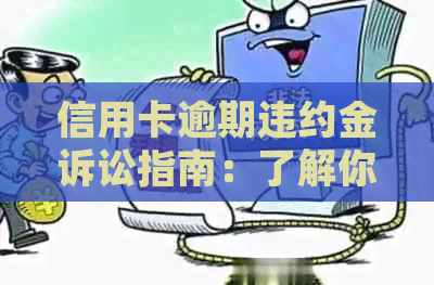 信用卡逾期违约金诉讼指南：了解你的权益和可能的赔偿金额