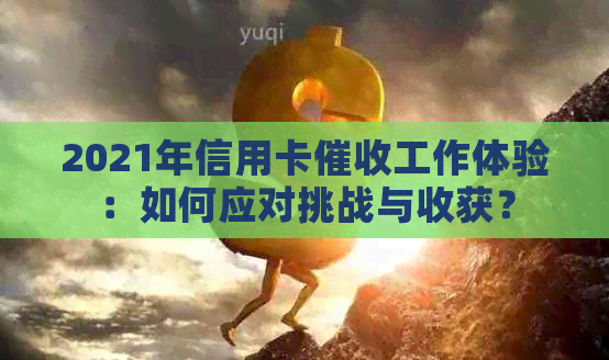 2021年信用卡工作体验：如何应对挑战与收获？
