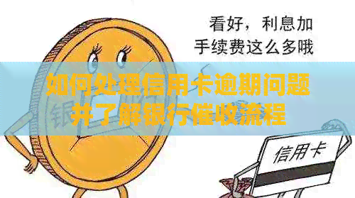 如何处理信用卡逾期问题并了解银行流程