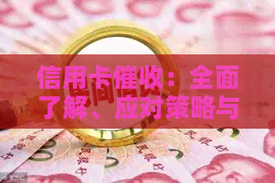 信用卡：全面了解、应对策略与注意事项