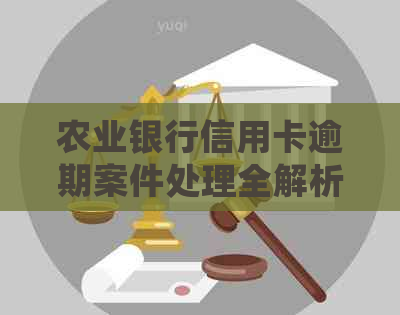 农业银行信用卡逾期案件处理全解析：如何应对起诉与立案？