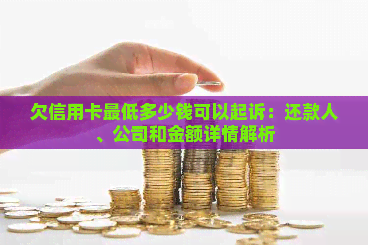 欠信用卡更低多少钱可以起诉：还款人、公司和金额详情解析