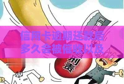 信用卡逾期还款后多久会被以及如何避免起诉？