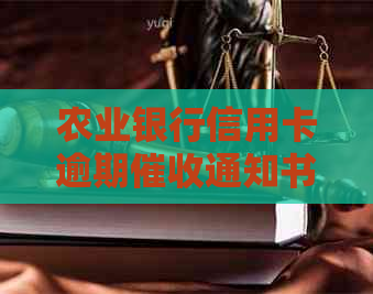 农业银行信用卡逾期通知书的编写指南与实用技巧