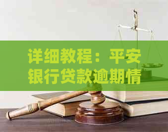 详细教程：平安银行贷款逾期情况下如何准备起诉材料，以维护您的权益