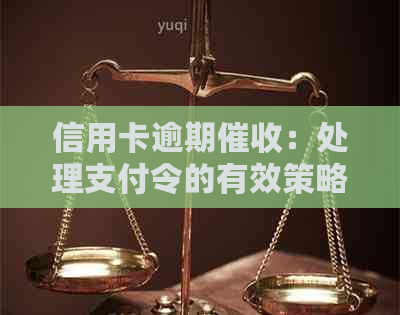 信用卡逾期：处理支付令的有效策略
