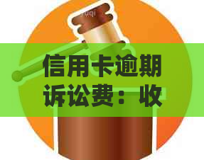 信用卡逾期诉讼费：收费标准与影响因素分析