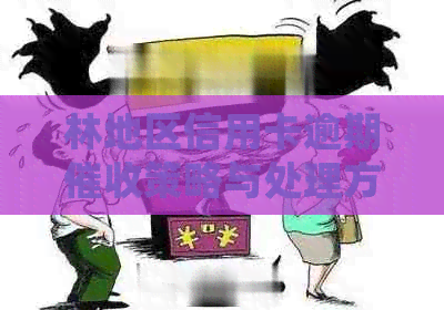 林地区信用卡逾期策略与处理方法科普