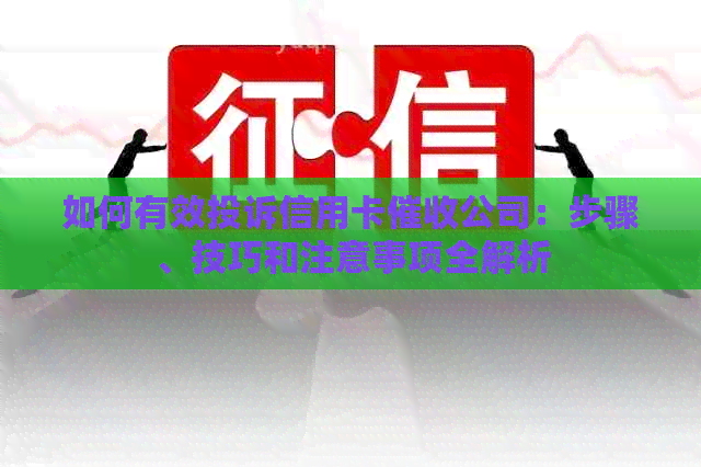 如何有效投诉信用卡公司：步骤、技巧和注意事项全解析