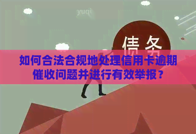 如何合法合规地处理信用卡逾期问题并进行有效举报？