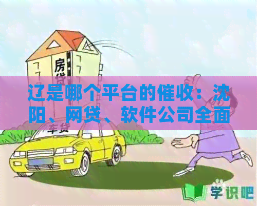 辽是哪个平台的：沈阳、网贷、软件公司全面解析