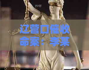 辽营口命案：李某案件详情与背景解析