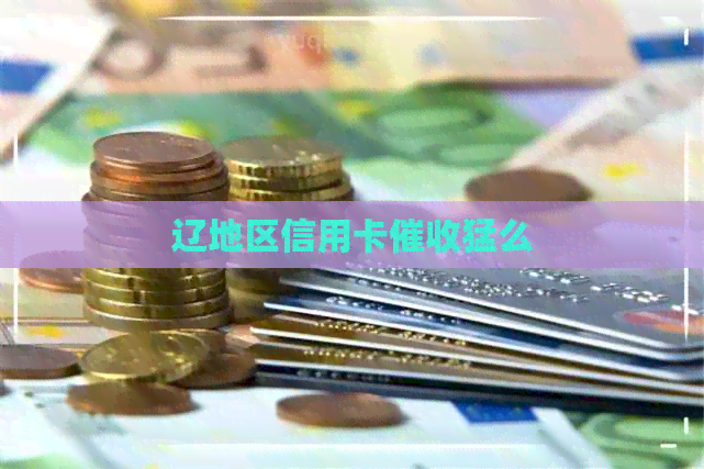 辽地区信用卡猛么