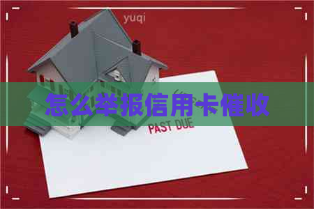 怎么举报信用卡