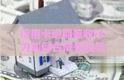 信用卡逾期行为如何合法举报与投诉？避免遭受的有效方法