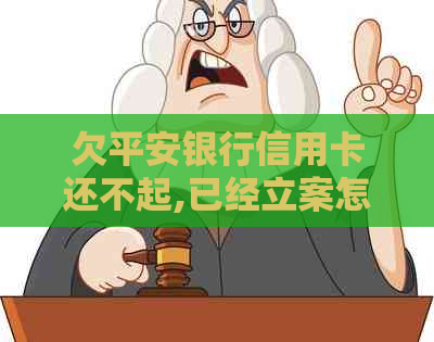 欠平安银行信用卡还不起,已经立案怎么办-欠平安银行信用卡还不起,已经立案怎么办