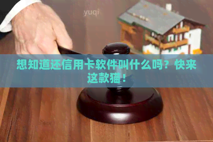 想知道还信用卡软件叫什么吗？快来这款猫！