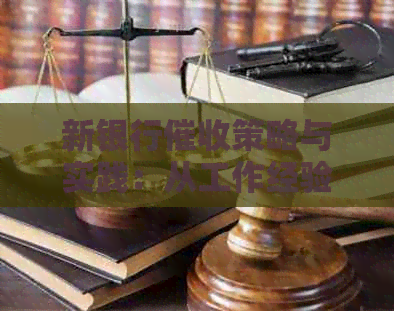 新银行策略与实践：从工作经验中提炼的实用指南