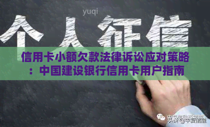 信用卡小额欠款法律诉讼应对策略：中国建设银行信用卡用户指南