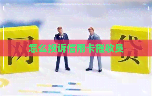 怎么投诉信用卡员
