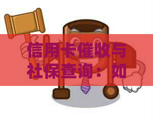 信用卡与社保查询：如何有效获取相关信息并保护个人隐私？