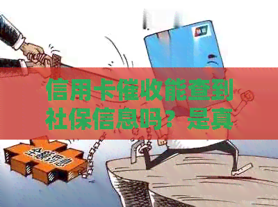 信用卡能查到社保信息吗？是真的吗？