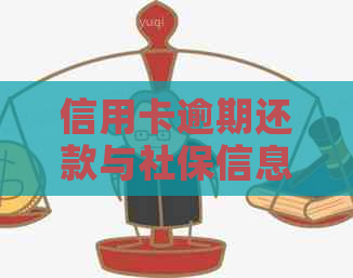 信用卡逾期还款与社保信息关联性研究：公司能否查到客户的社保资料？