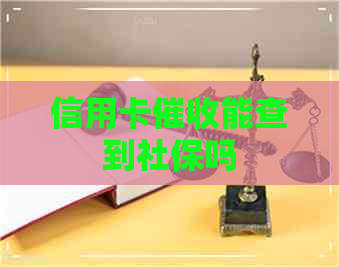 信用卡能查到社保吗