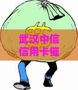 武汉中信信用卡公司