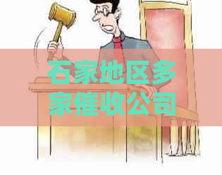 石家地区多家公司的电话号码一览表及详细信息，解决用户搜索需求