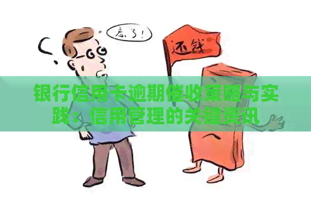 银行信用卡逾期策略与实践：信用管理的关键资讯