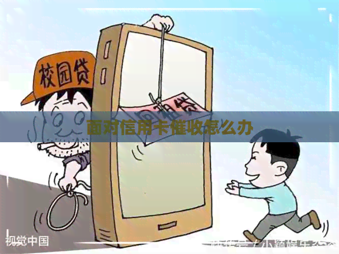 面对信用卡怎么办