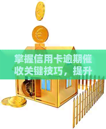 掌握信用卡逾期关键技巧，提升工作效率与效果