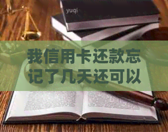我信用卡还款忘记了几天还可以还吗，怎么办？如何查询逾期天数？