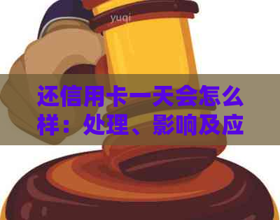 还信用卡一天会怎么样：处理、影响及应对措