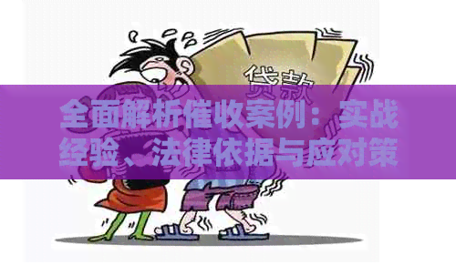 全面解析案例：实战经验、法律依据与应对策略一站式解答