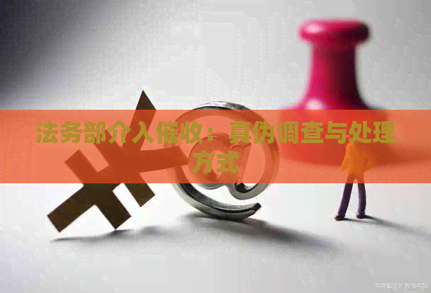 法务部介入：真伪调查与处理方式