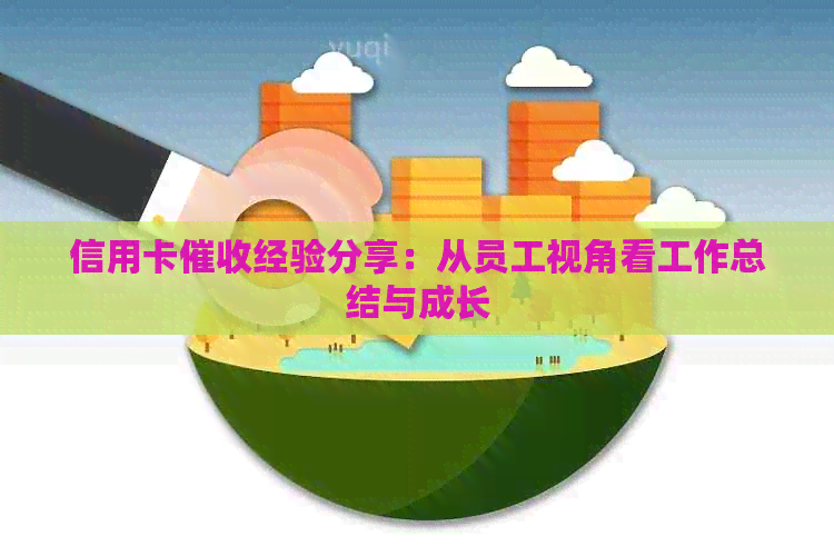 信用卡经验分享：从员工视角看工作总结与成长